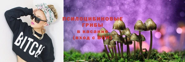 ALPHA PVP Верея