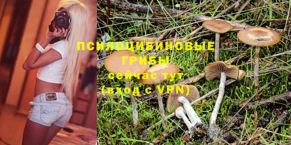 мяу мяу мука Верхний Тагил