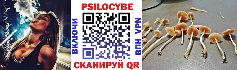 Псилоцибиновые грибы Cubensis  купить закладку  кракен зеркало  Ногинск 