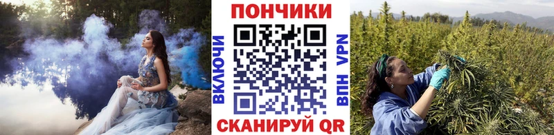 Шишки марихуана семена закладка Ногинск